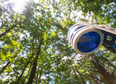 Photo of Mercury Passive Air Sampler (MerPAS) in a forest