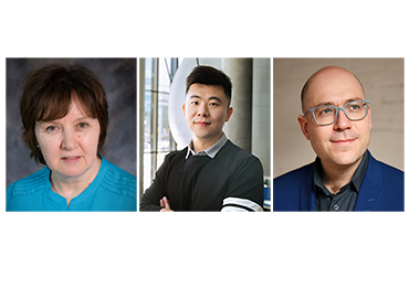 Three head shots - a white woman with brown hair, an asian man with short hair, and a bald white man.